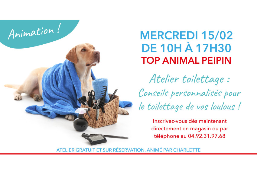 ATELIER : CONSEILS PERSONNALISES POUR LE  TOILETTAGE DE VOS LOULOUS